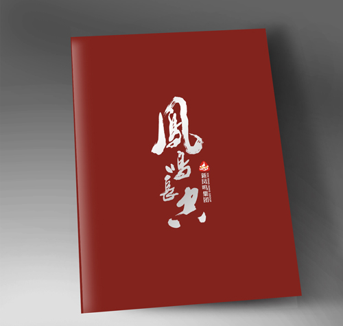 嘉興桐鄉新鳳鳴集團畫冊設計