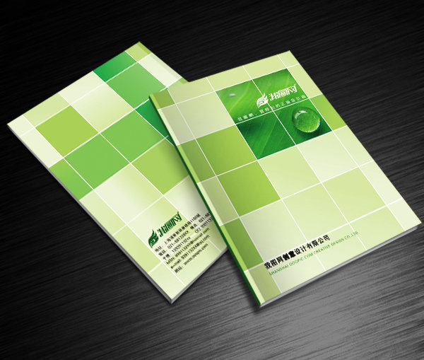 嘉興廣告公司提供設(shè)計制作企業(yè)產(chǎn)品宣傳畫冊